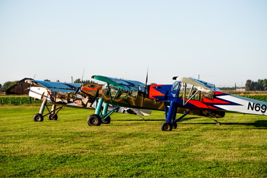 Three Slepcev Storch aircraft lined up on a grass airstrip in various color schemes